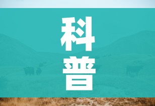科普一下“微信牛牛群斗牛群”房卡获取方式