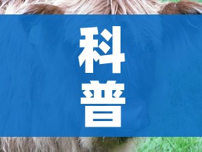 科普一下“微信牛牛群斗牛群”房卡获取方式