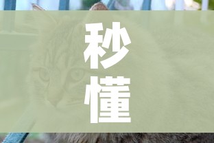 秒懂百科“斗牛房卡怎么购买”房卡怎么购买